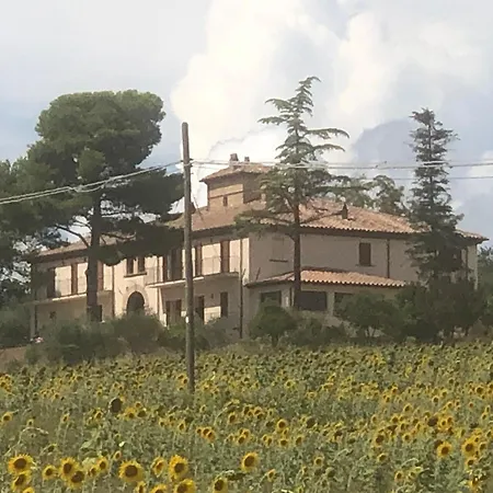 Daire Casale Caiello1897